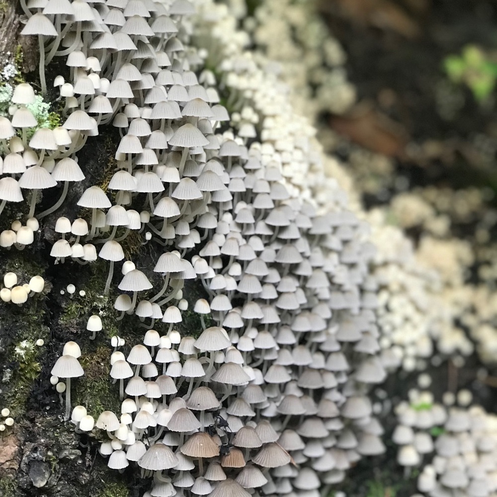 Meet your Posher, Hilary